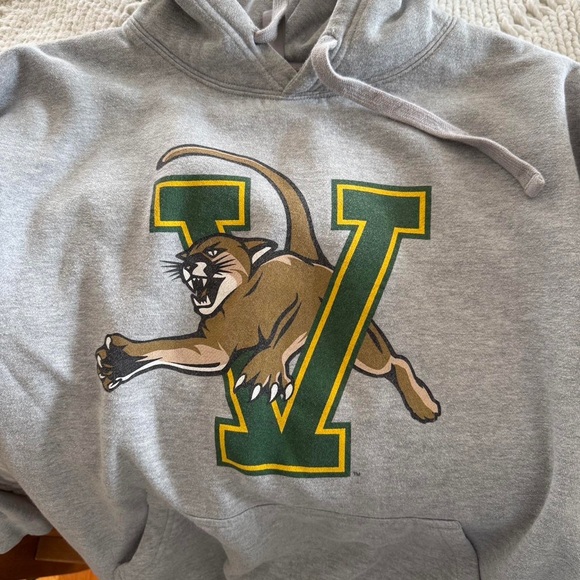 Gray Hoodie with Green and Brown Logo - Picture 2 of 4